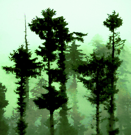Trees in Mist (green)