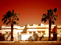 Art Deco House With Palms